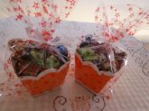 Cachepot com 12 Trufas